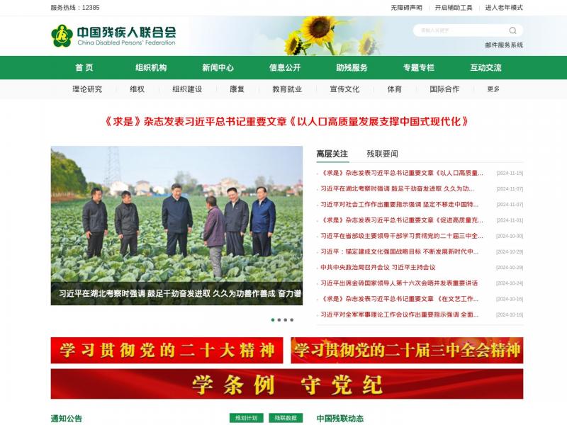【中国残联】中国残疾人联合会<b>※</b>2024年11月17日网站截图