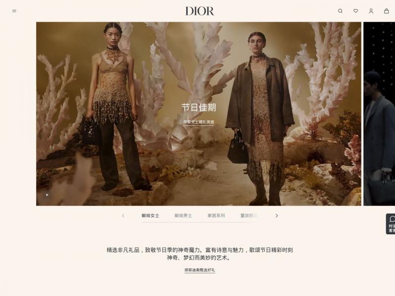 【DIOR迪奥】DIOR迪奥官方网站<b>※</b>2024年11月17日网站截图