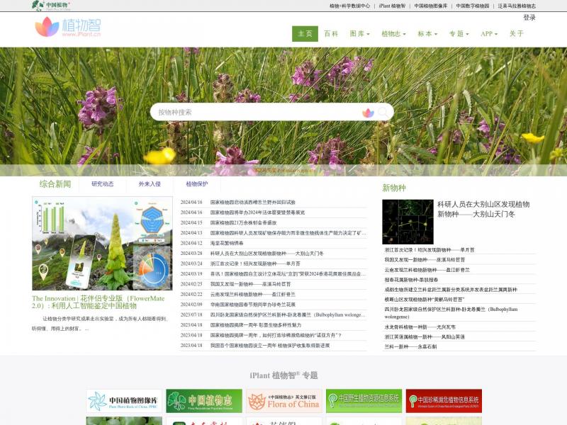 【植物智】中国科学院植物研究所看图识花<b>※</b>2024年07月24日网站截图