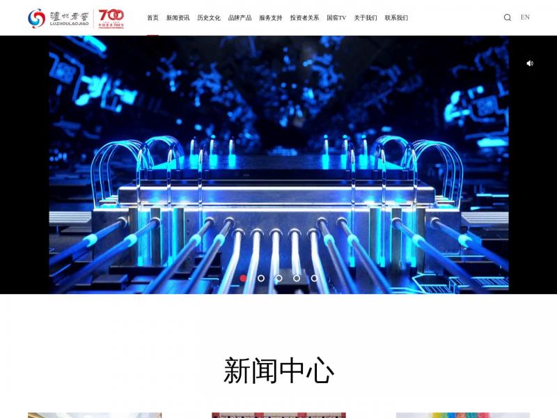 【泸州老窖官网】泸州老窖官网首页<b>※</b>2024年11月05日网站截图