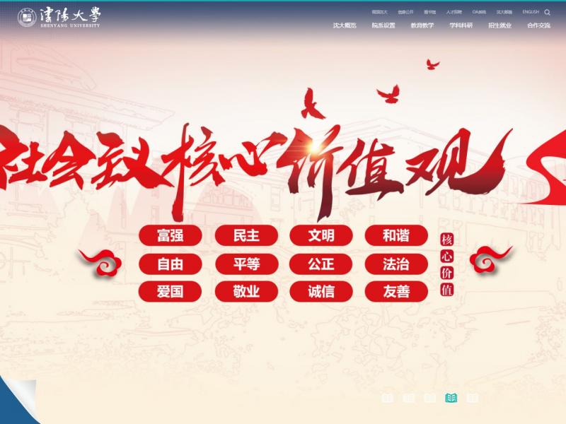 【沈阳大学】沈阳大学<b>※</b>2023年12月28日网站截图