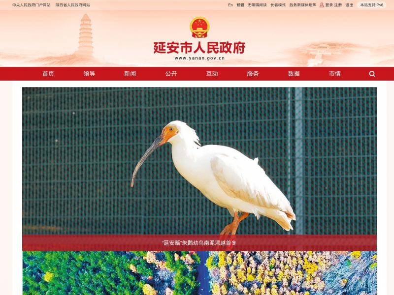 【延安市政府】陕西延安市人民政府<b>※</b>2024年11月17日网站截图