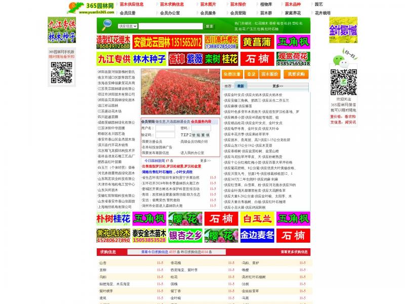 【园林网】苗木求购信息|苗木价格|绿化苗木供应|苗木信息化|苗木网-中国园林行业网站<b>※</b>2024年11月06日网站截图
