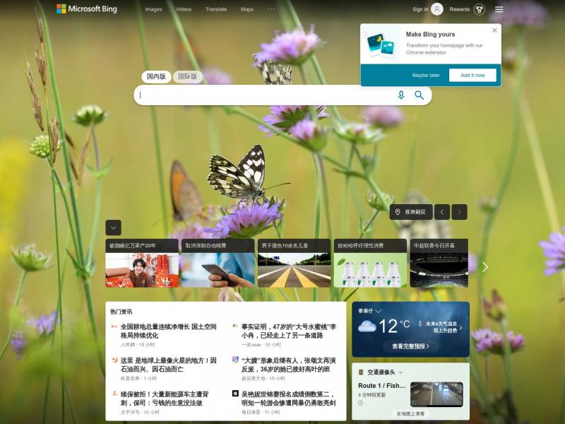 【必应图片】国内版 Bing images 必应图片<b>※</b>2024年10月15日网站截图
